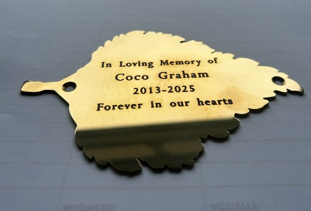image of plaque